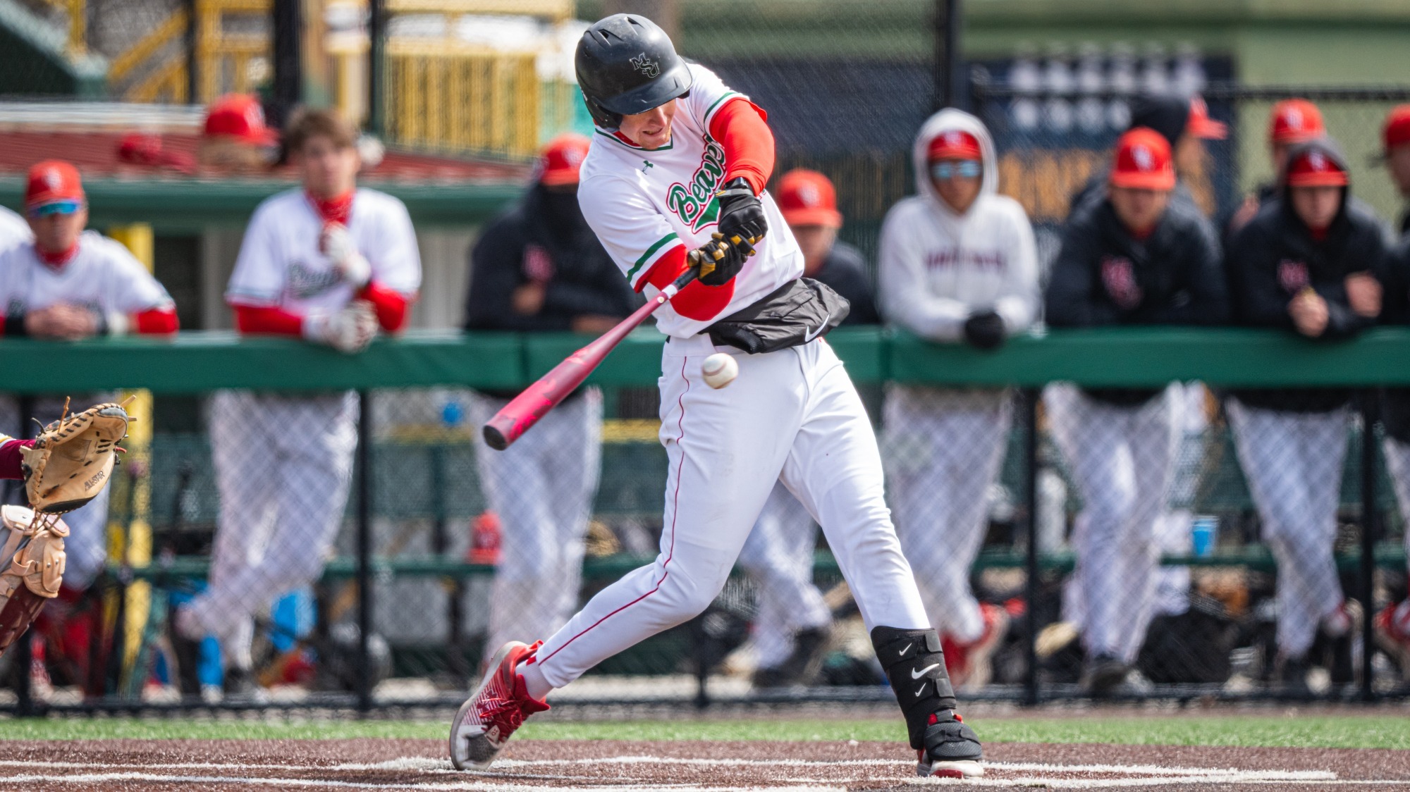 Mike Williamson batting against Northern State