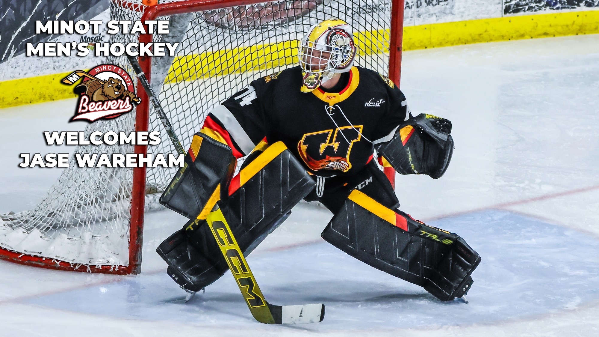 Minot State men's hockey welcomes Jase Wareham