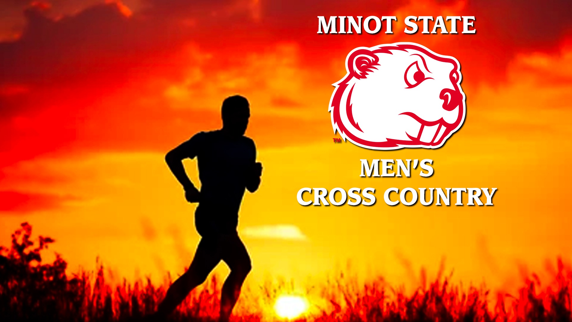 men's cross country generic graphic