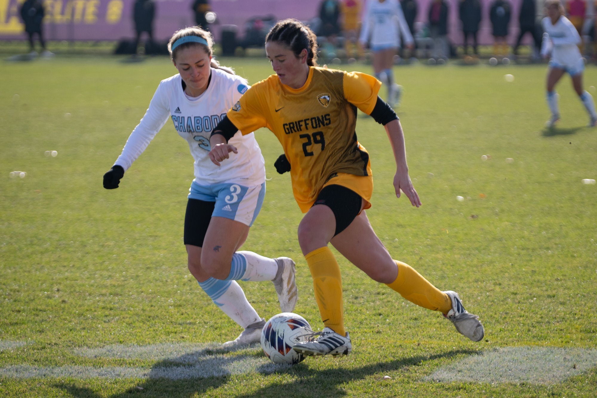 Minnesota State Athletics ncaa soccer 11/21