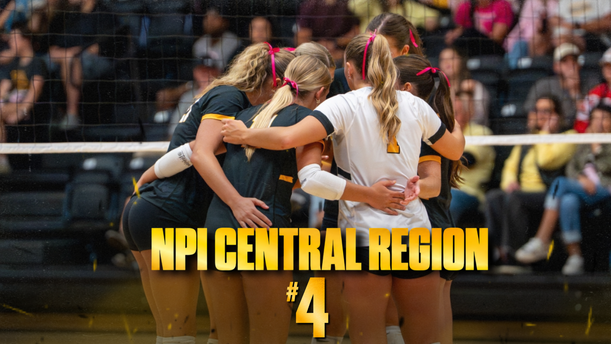 NPI VB RANKING 10-26