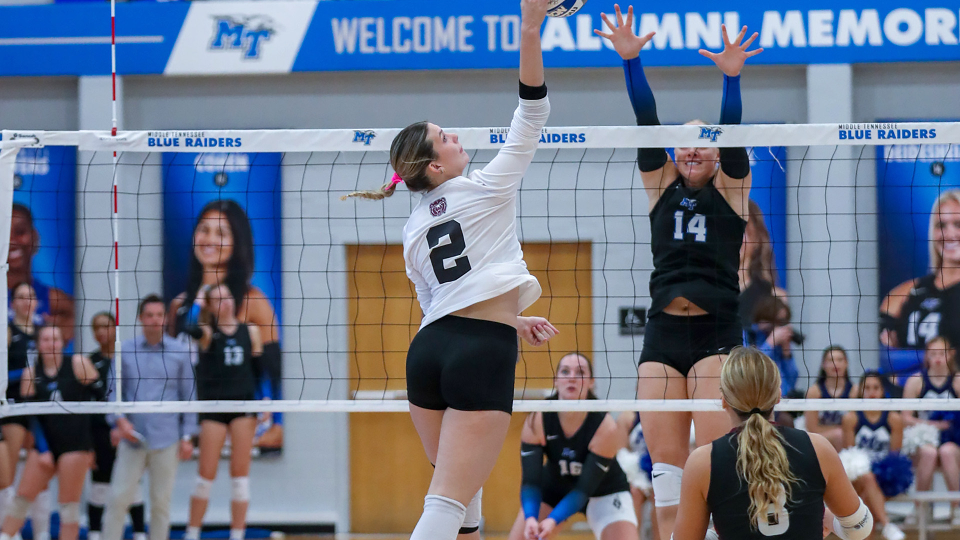 Volleyball at MTSU