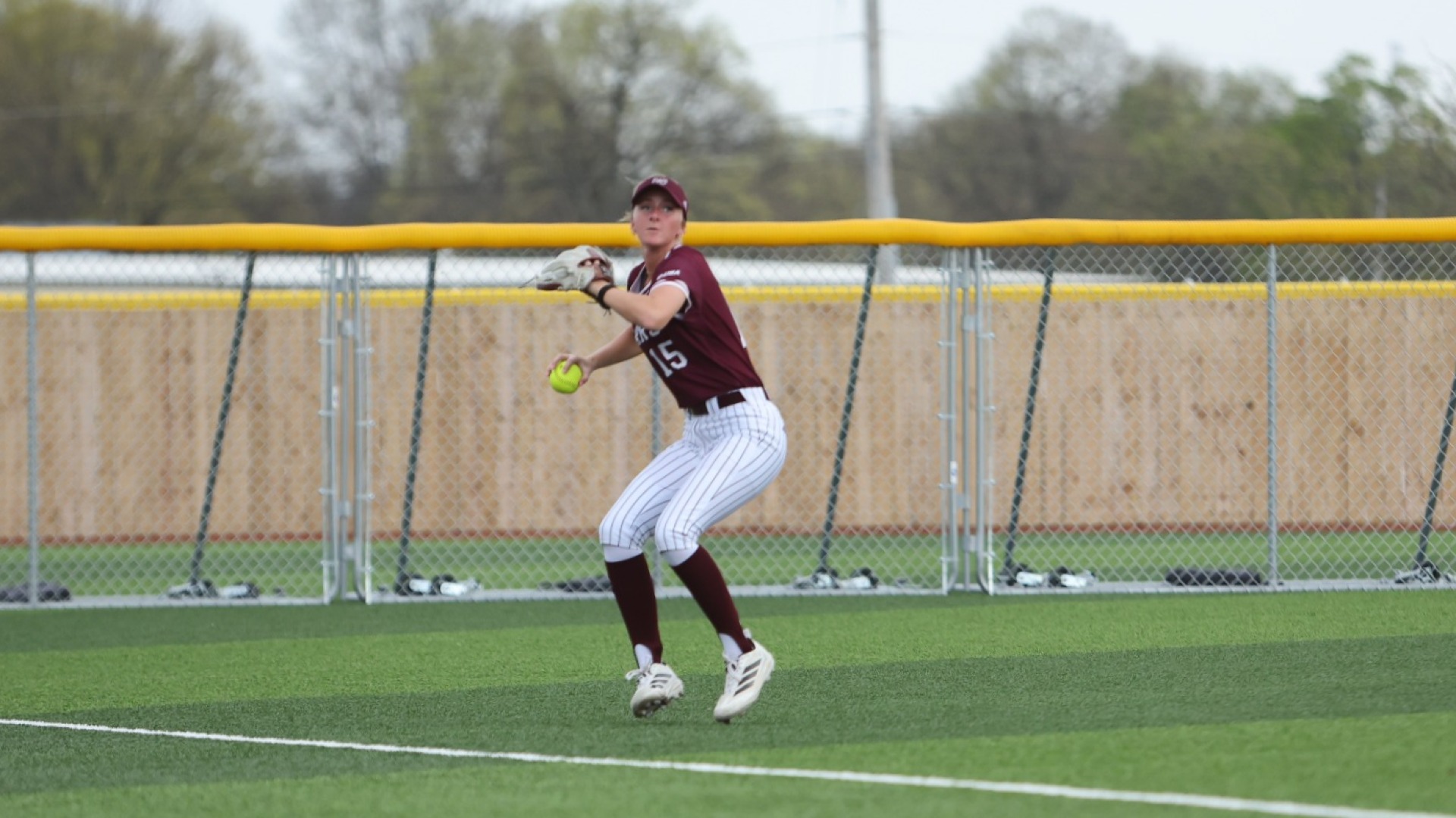 Elizabeth Bobbitt vs. Missouri