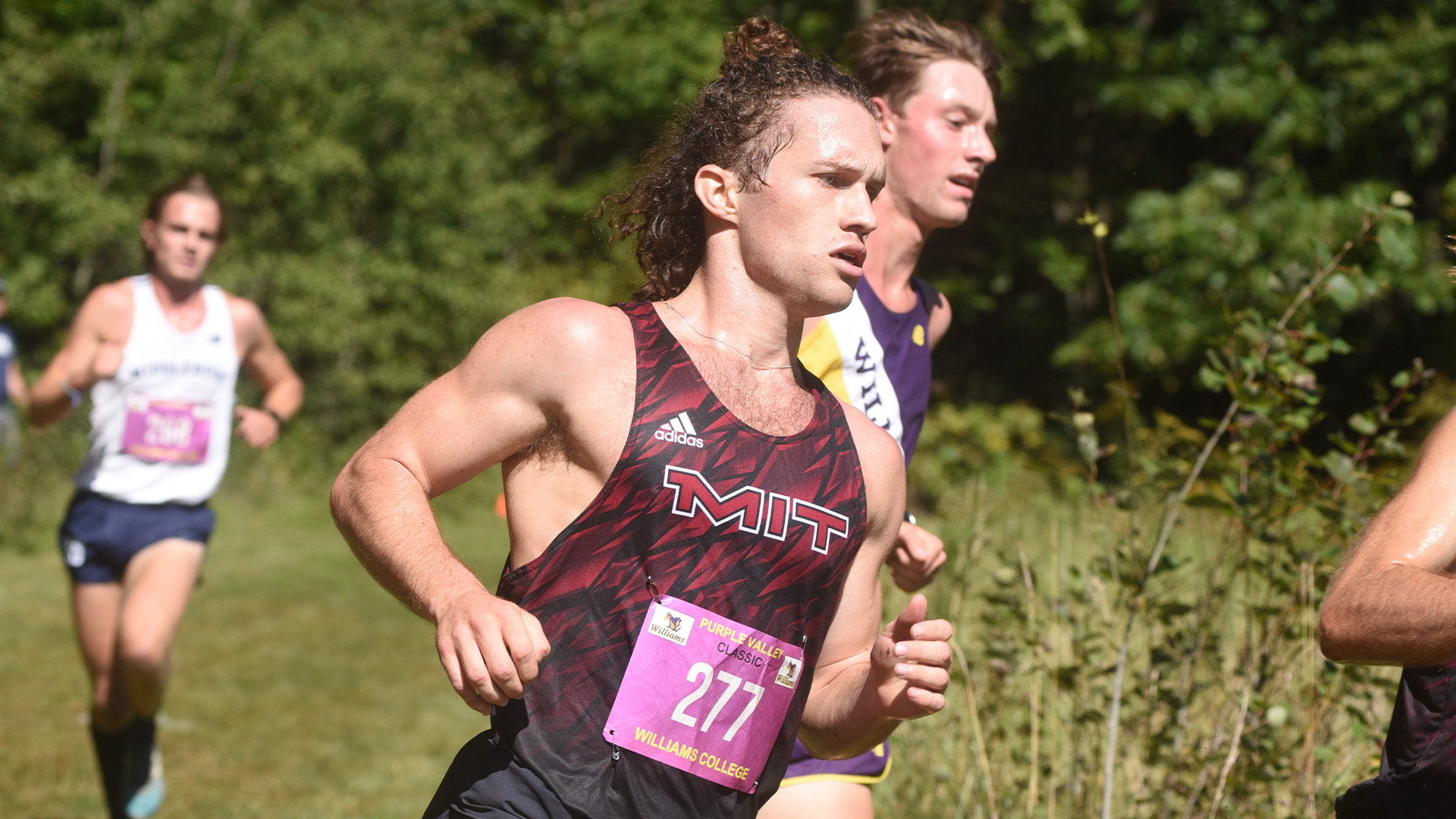 Sam Acquaviva 2023 Men's Cross Country Massachusetts Institute of