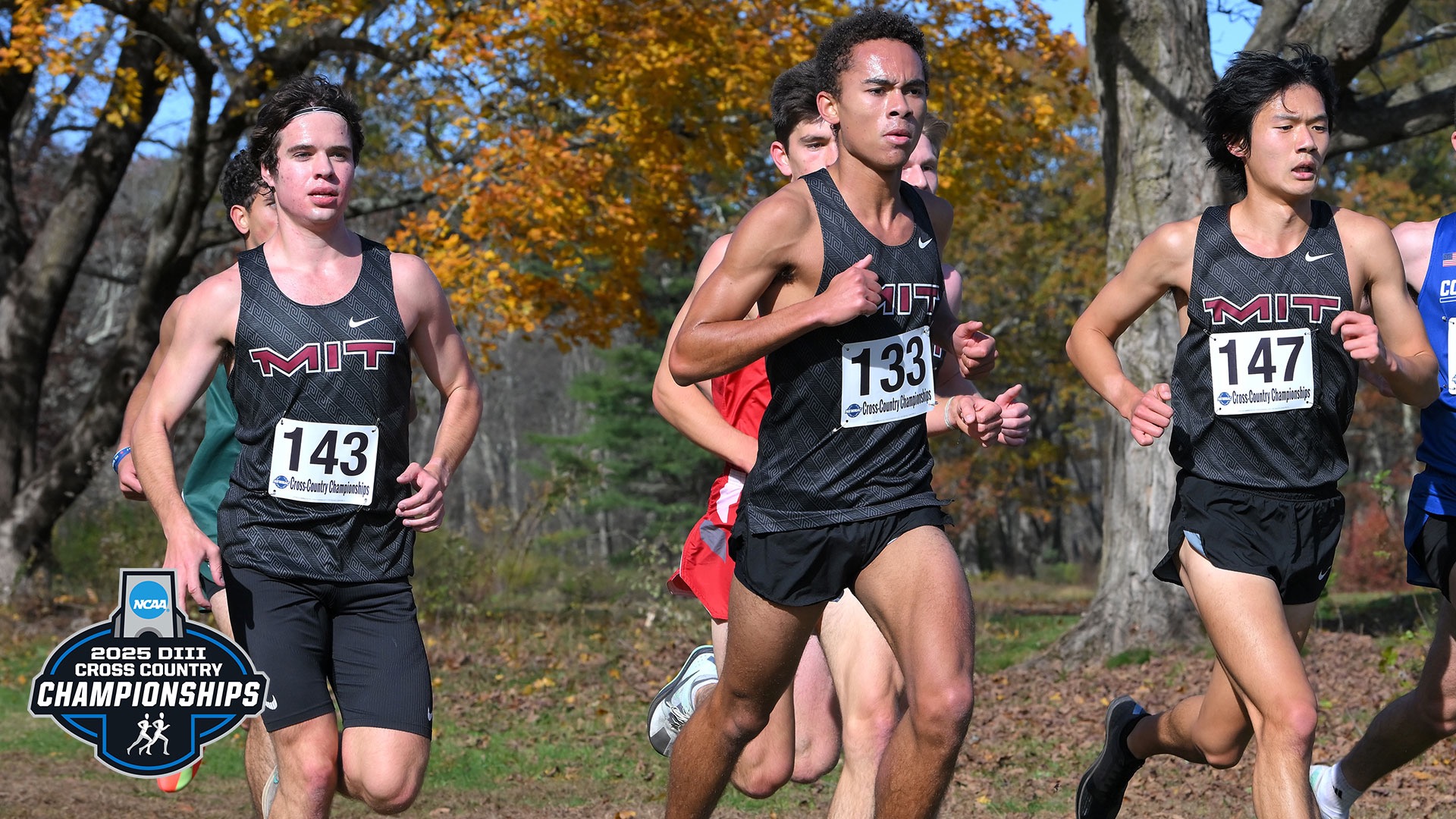 The MIT men's cross country team running together