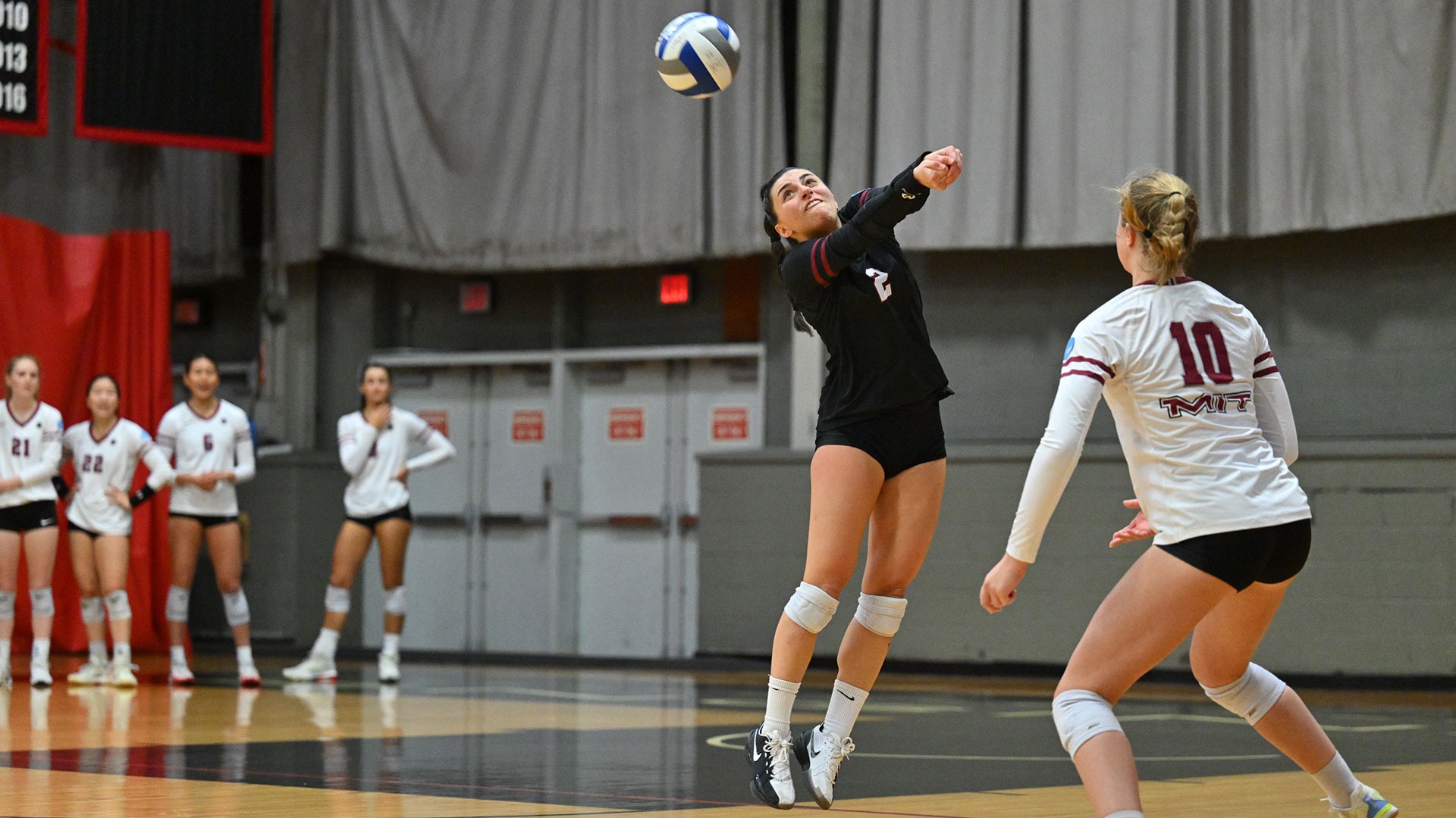 Daphne Gavros digging the volleyball