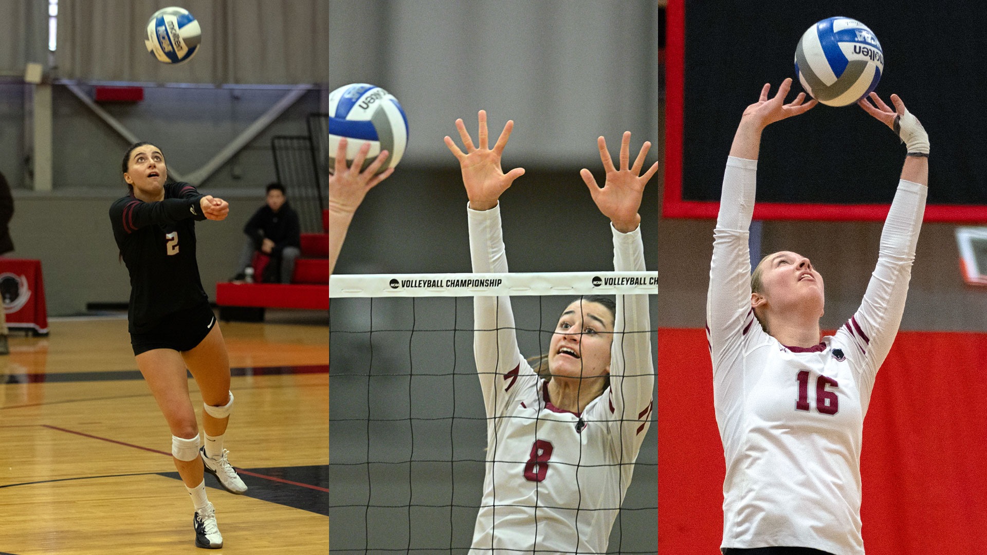 A graphic featuring action photos of Daphne Gavros, Ali Gibbs, and Kayleigh May