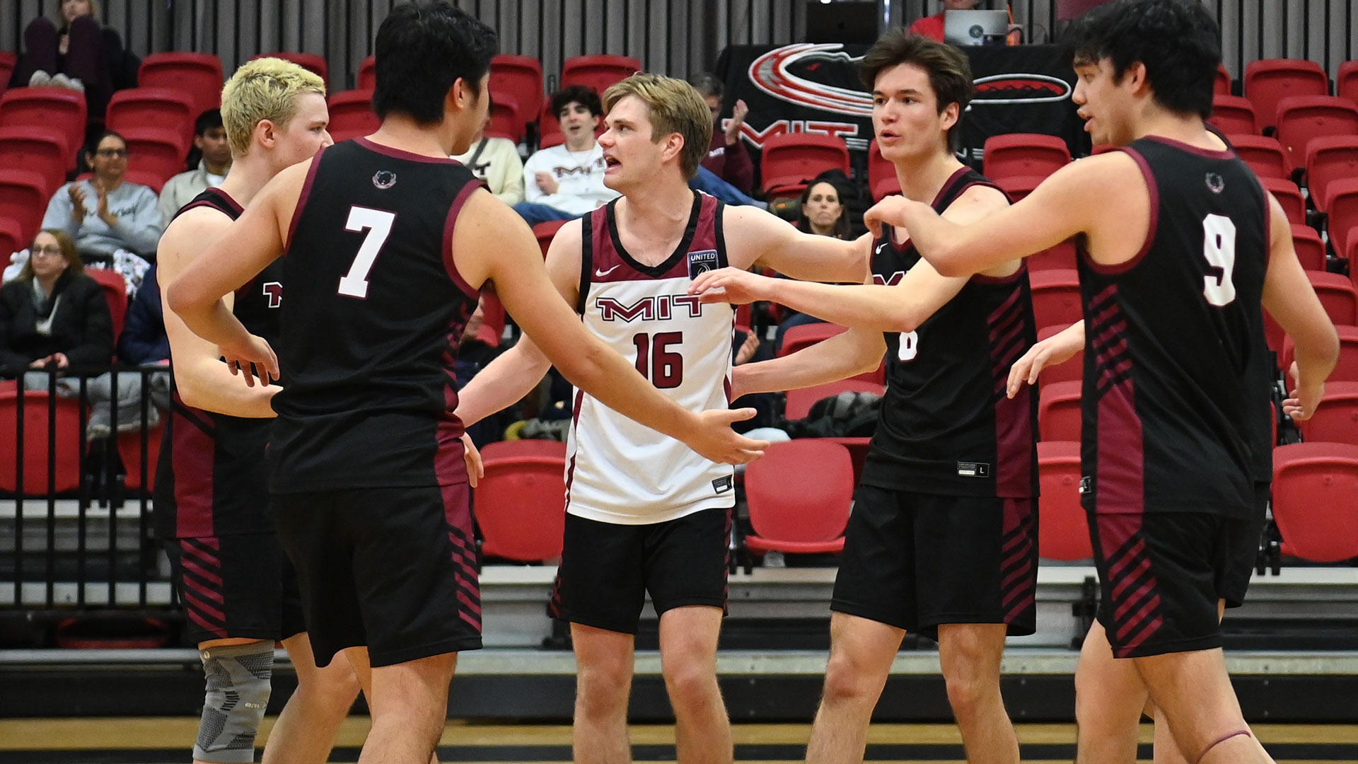 Members of the MIT men's volleyball team celebrating