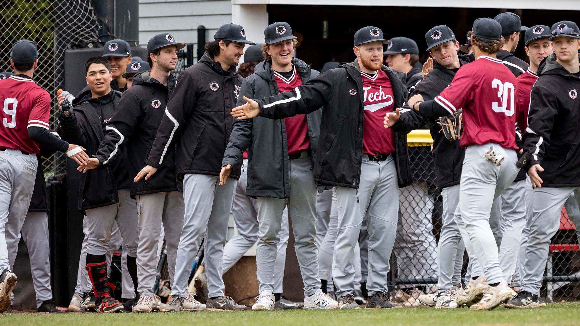 MIT baseball celebrates at the dugout