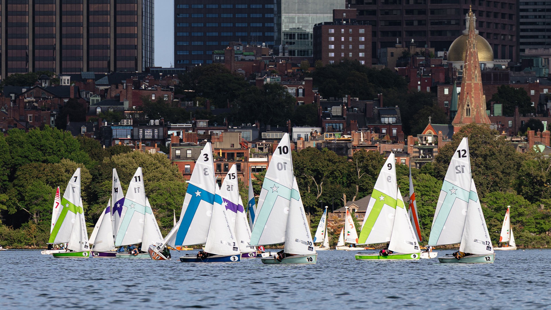 A group of sailboats on the Charles River