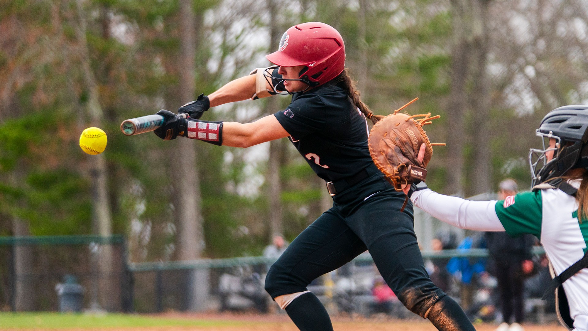 Delaney Benevides bunting