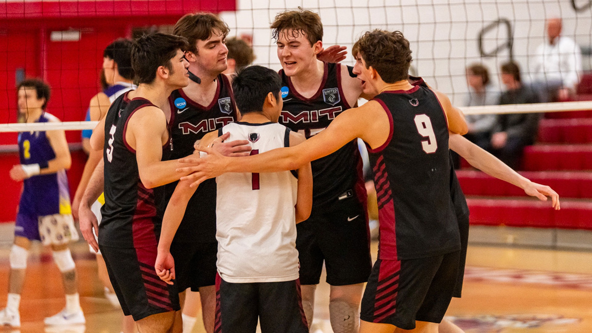 MIT men's volleyball players in a huddle