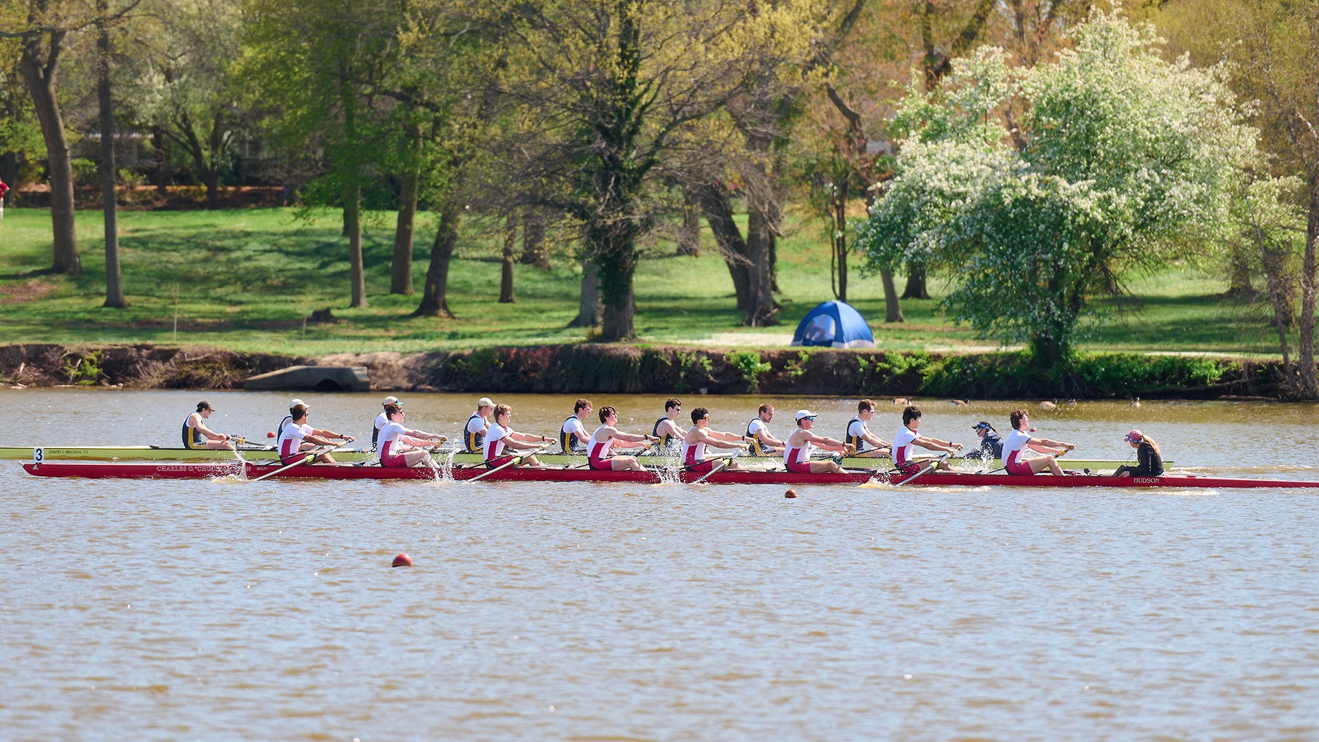 Men's lightweight eight racing