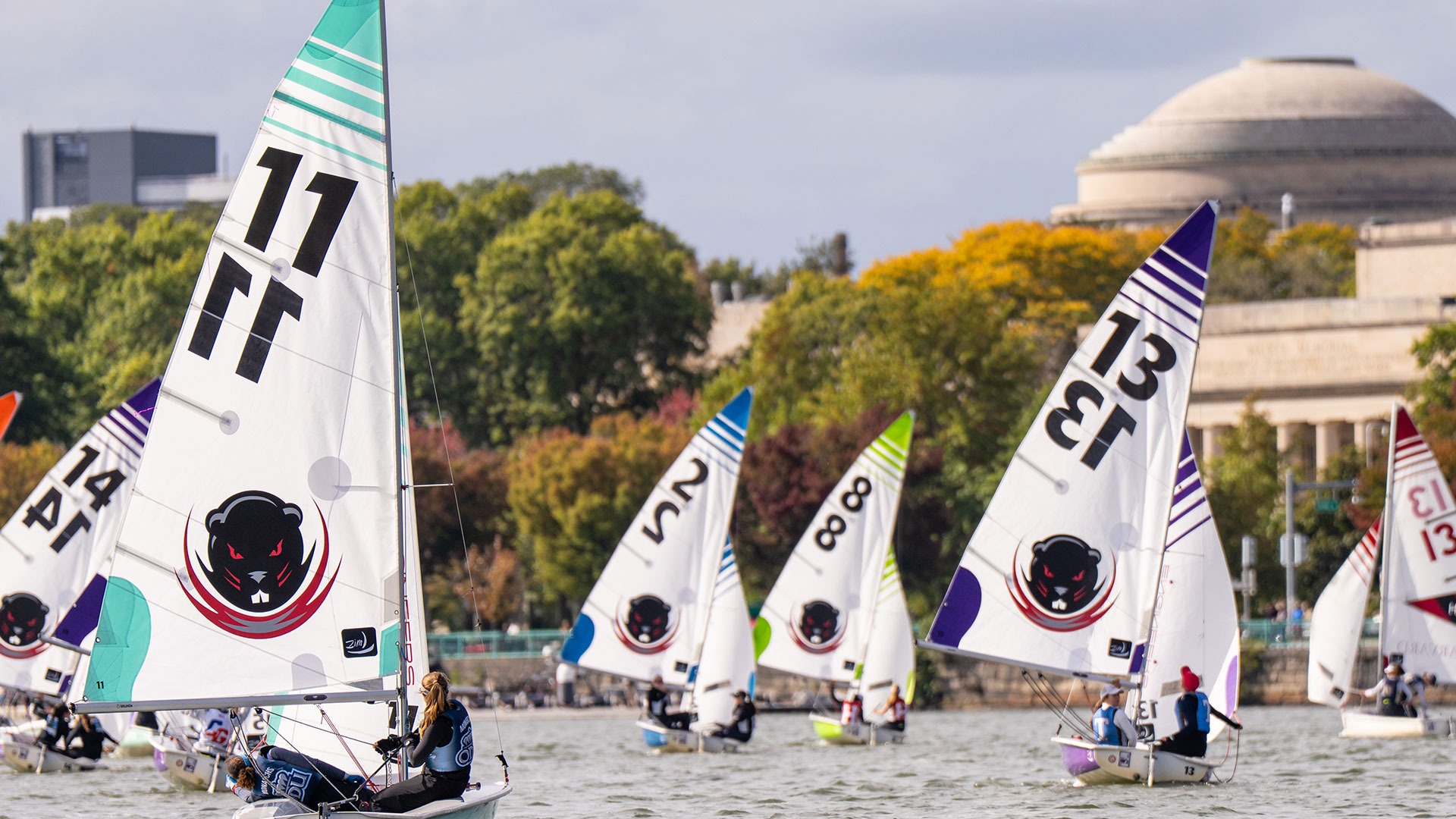 Sailboats on the Charles with the Dome in the background