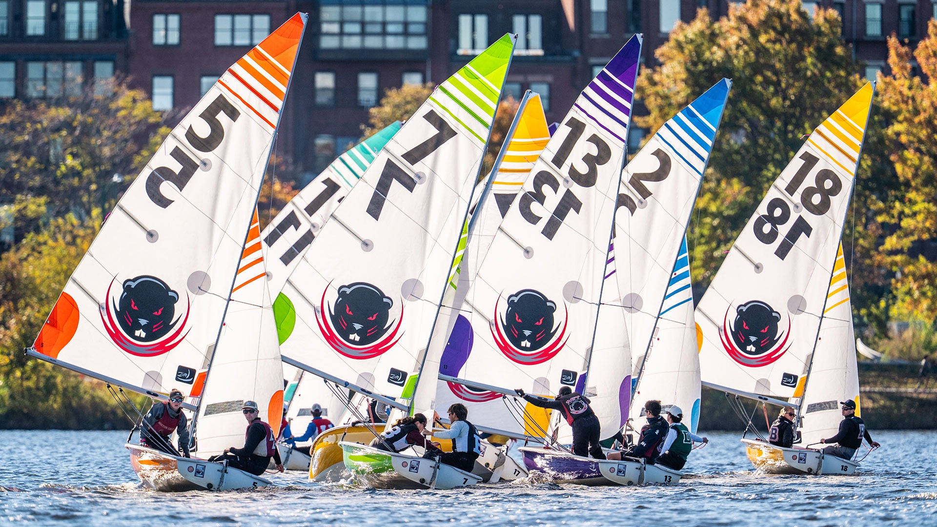 Sailboats on the Charles River