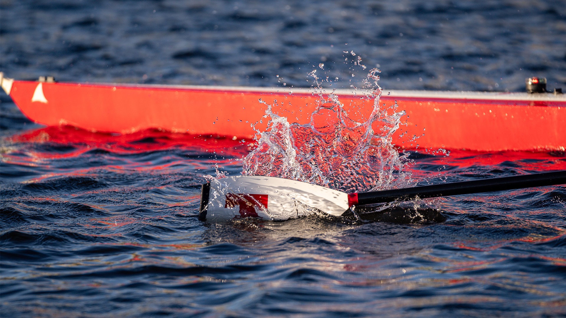 MIT crew oar in the water
