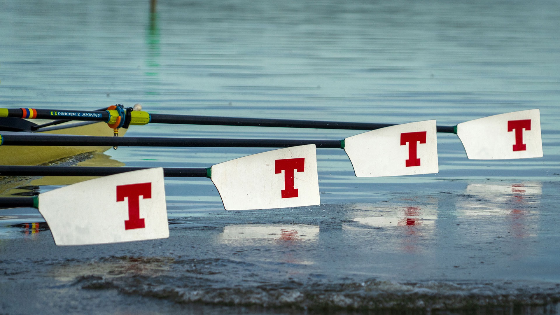 MIT oars with a red T logo