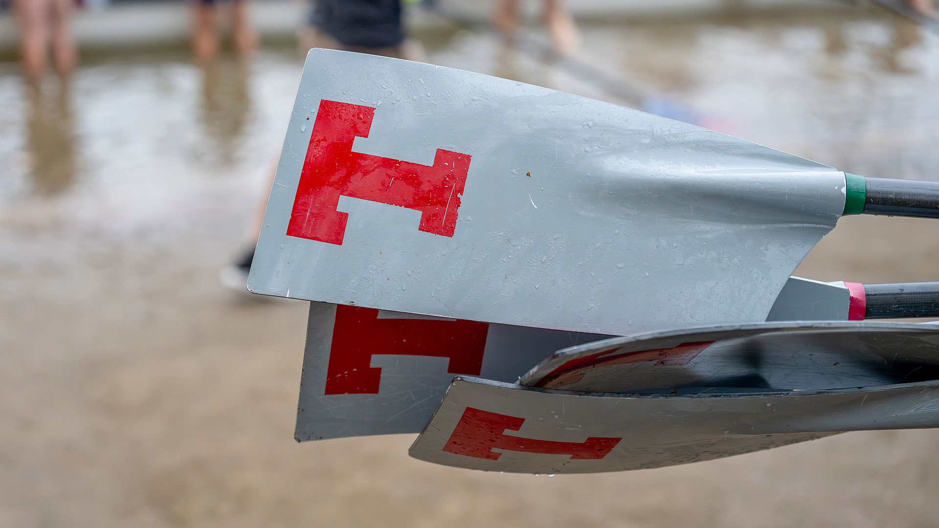 Men's lightweight crew oar with red letter T
