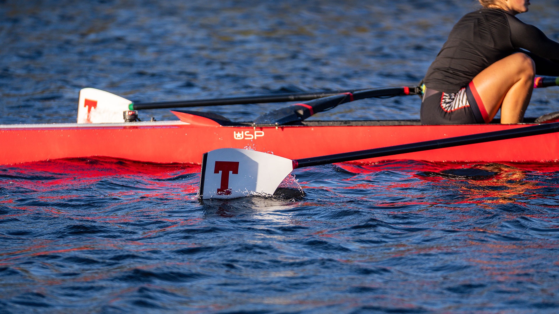 MIT rowing oar with a red T