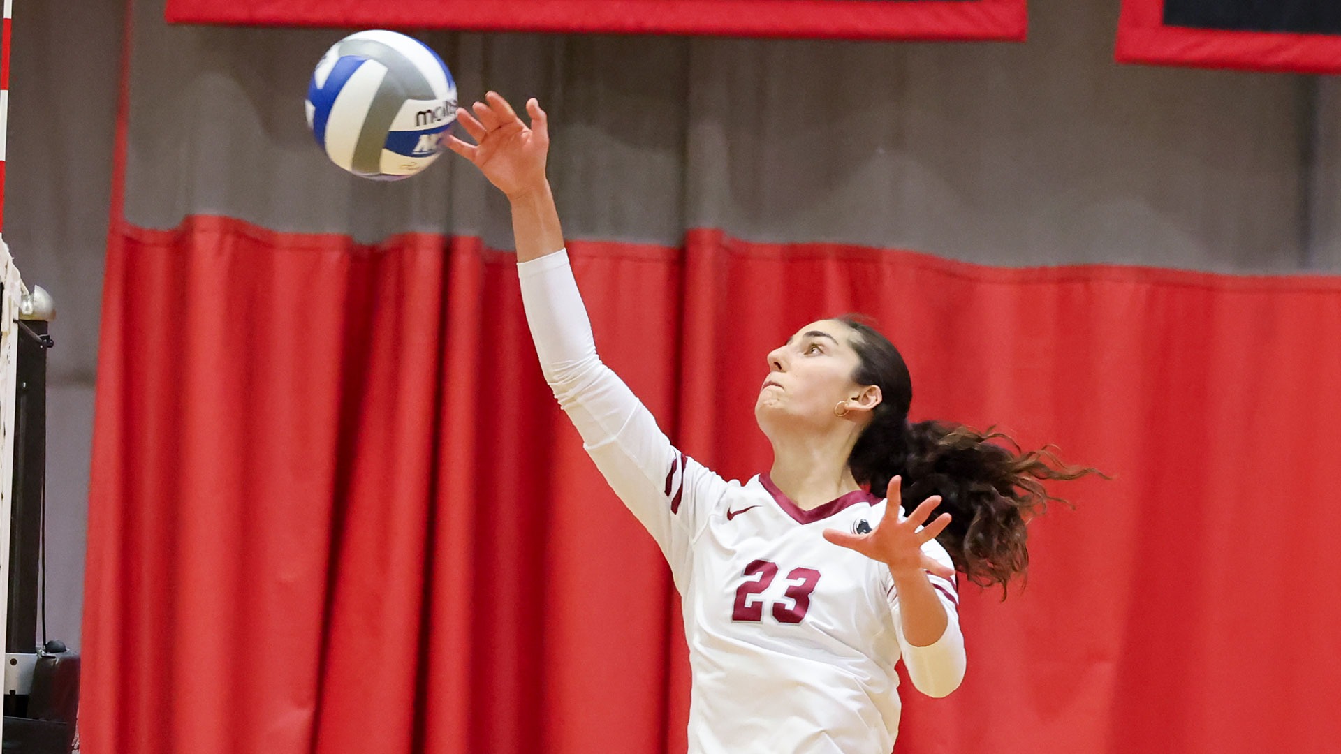 Eileen Sadati hitting a volleyball