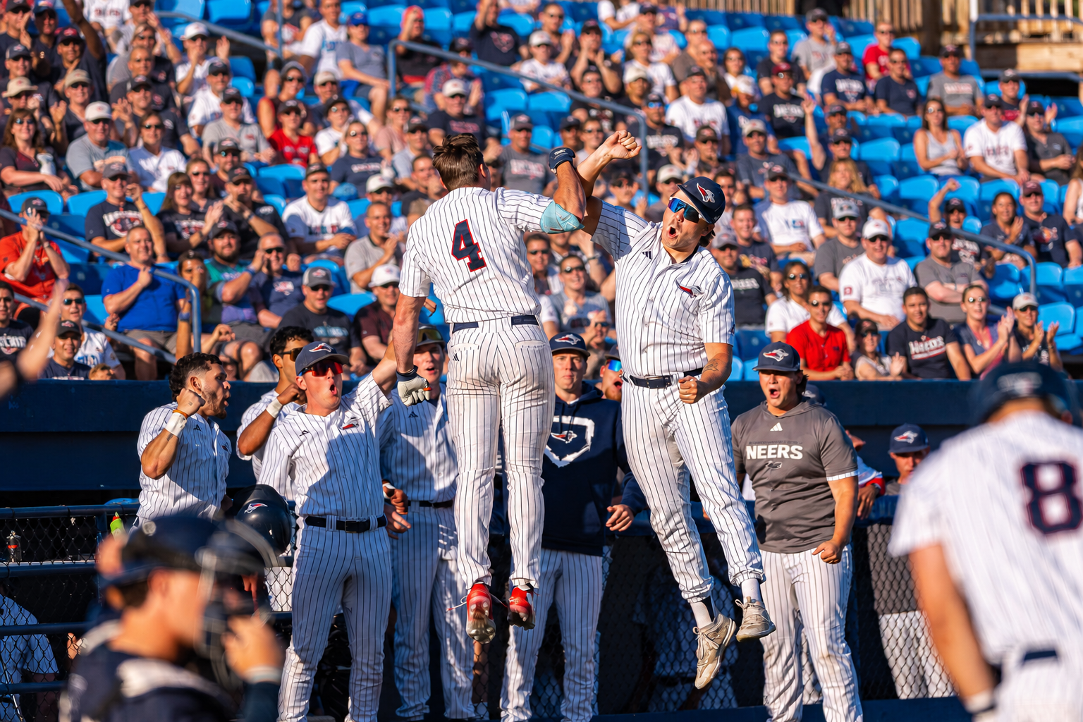 baseball