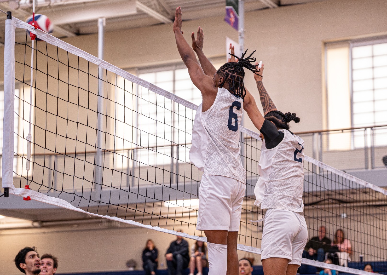 Mens Volleyball Blocking Action