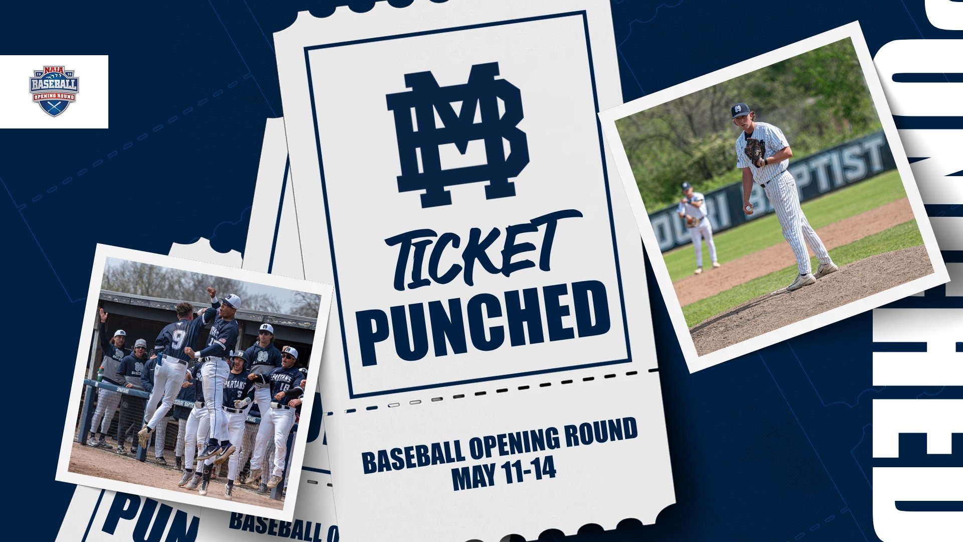 Baseball Ticket Punched