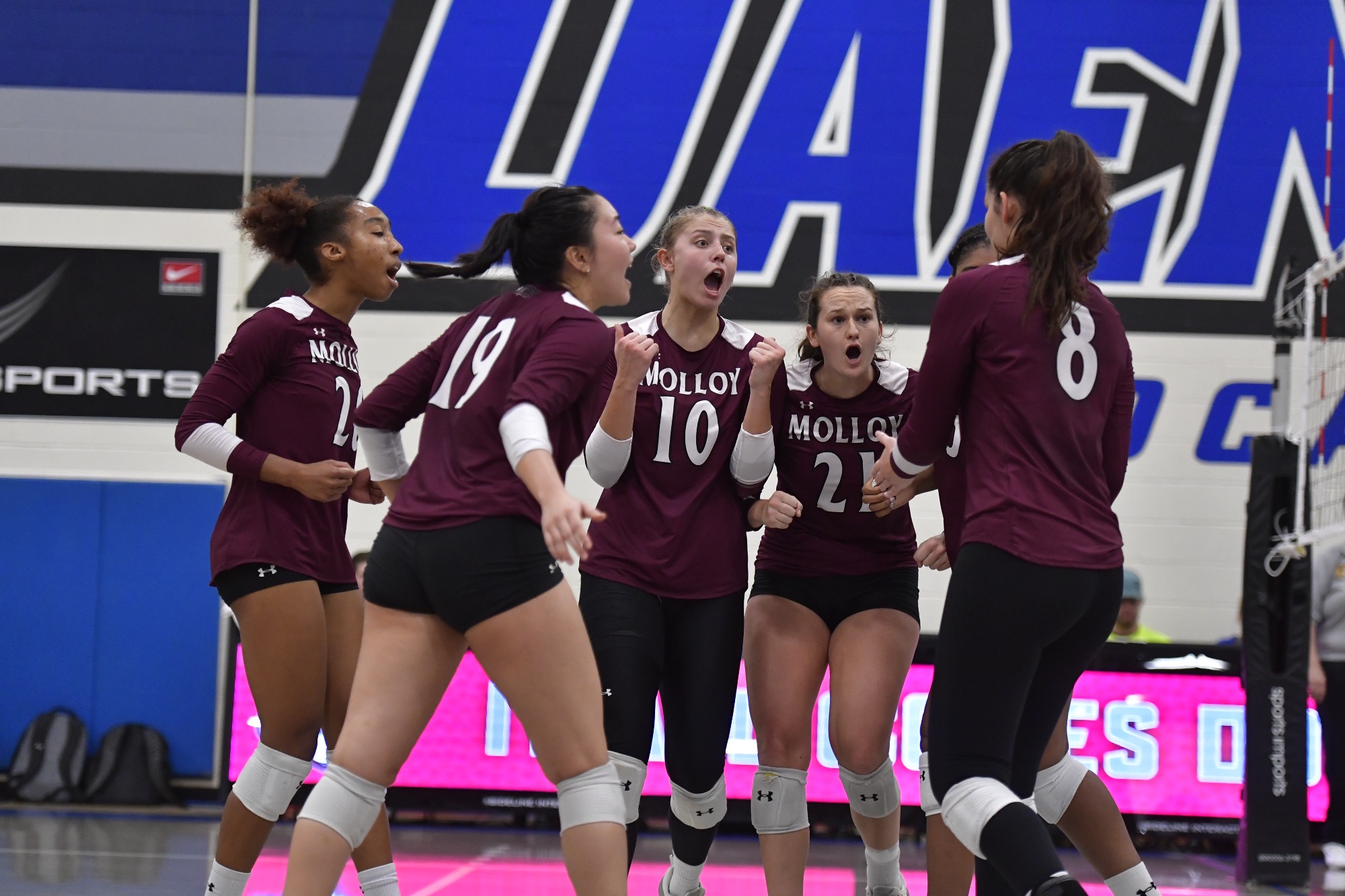 Championship Bound! Volleyball Tops Queens in ECC Semifinal, 31 Molloy University Athletics