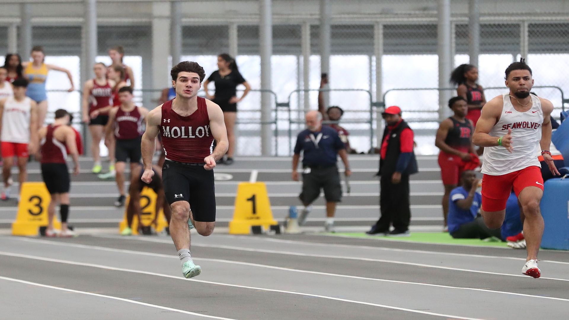 Gianni Macchio Men's Track and Field Molloy University Athletics