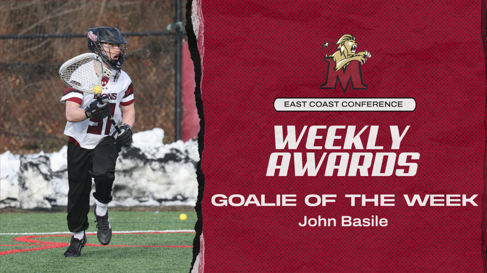 aotw-basile