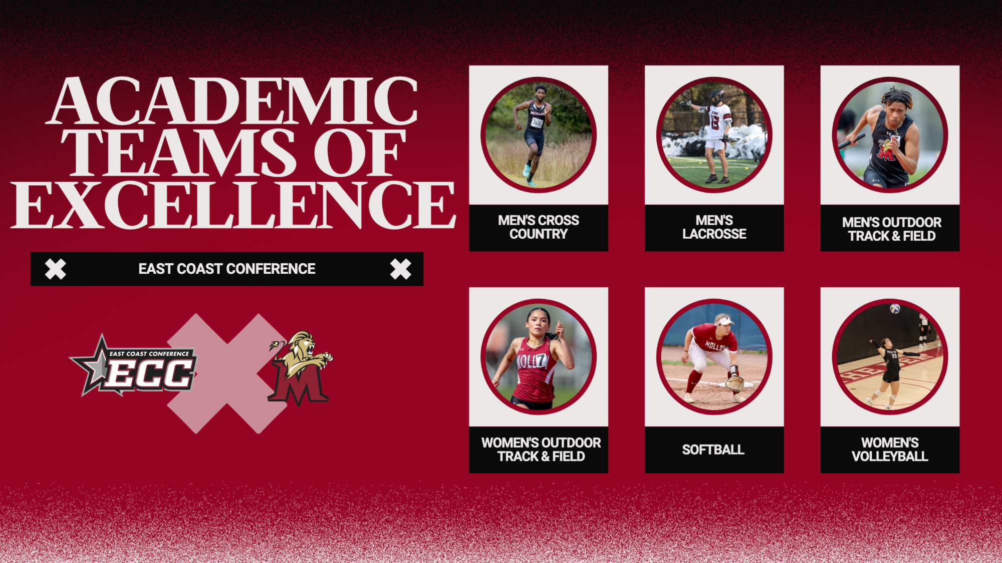 teams of excellence
