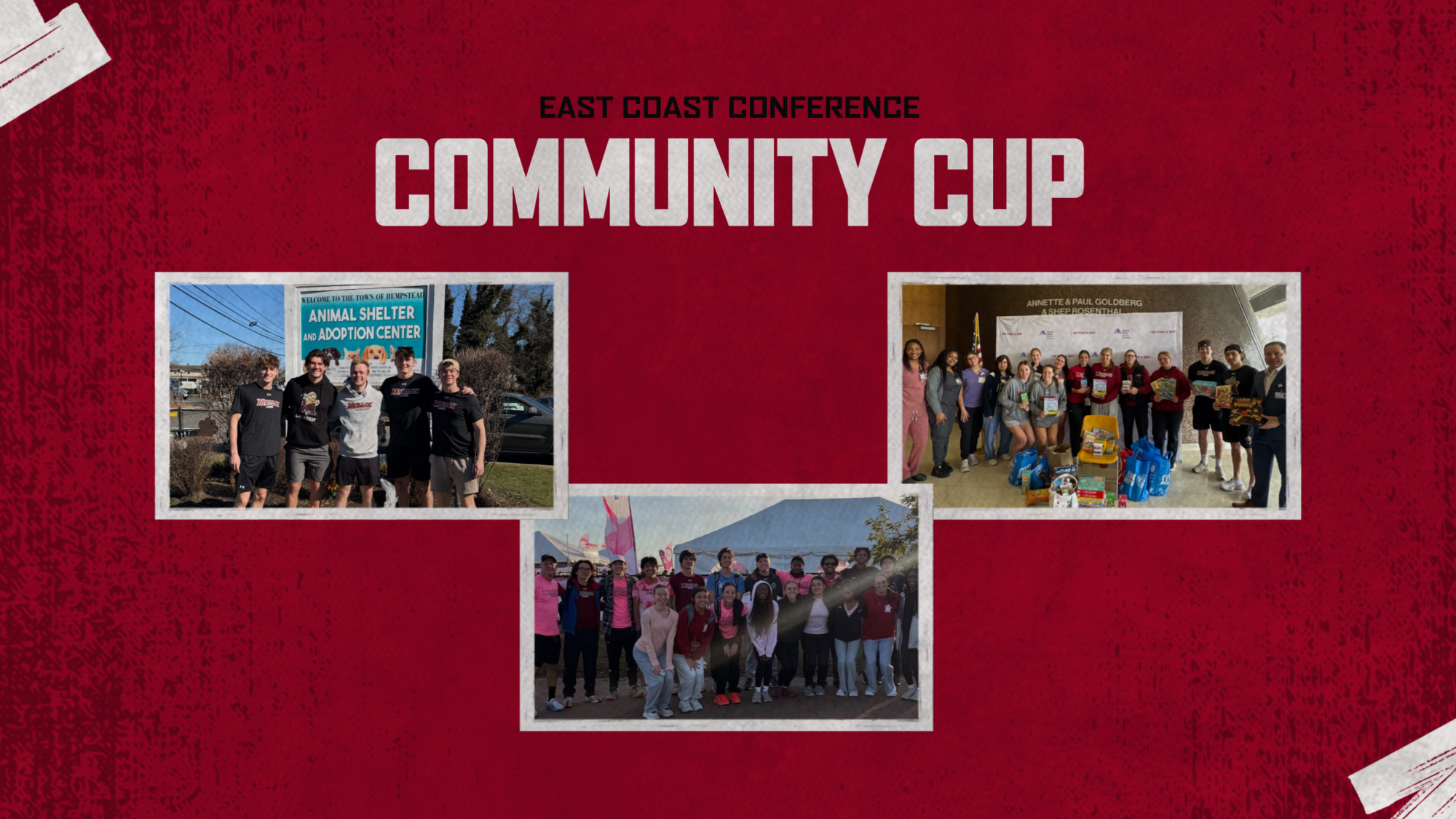Ecc community cup