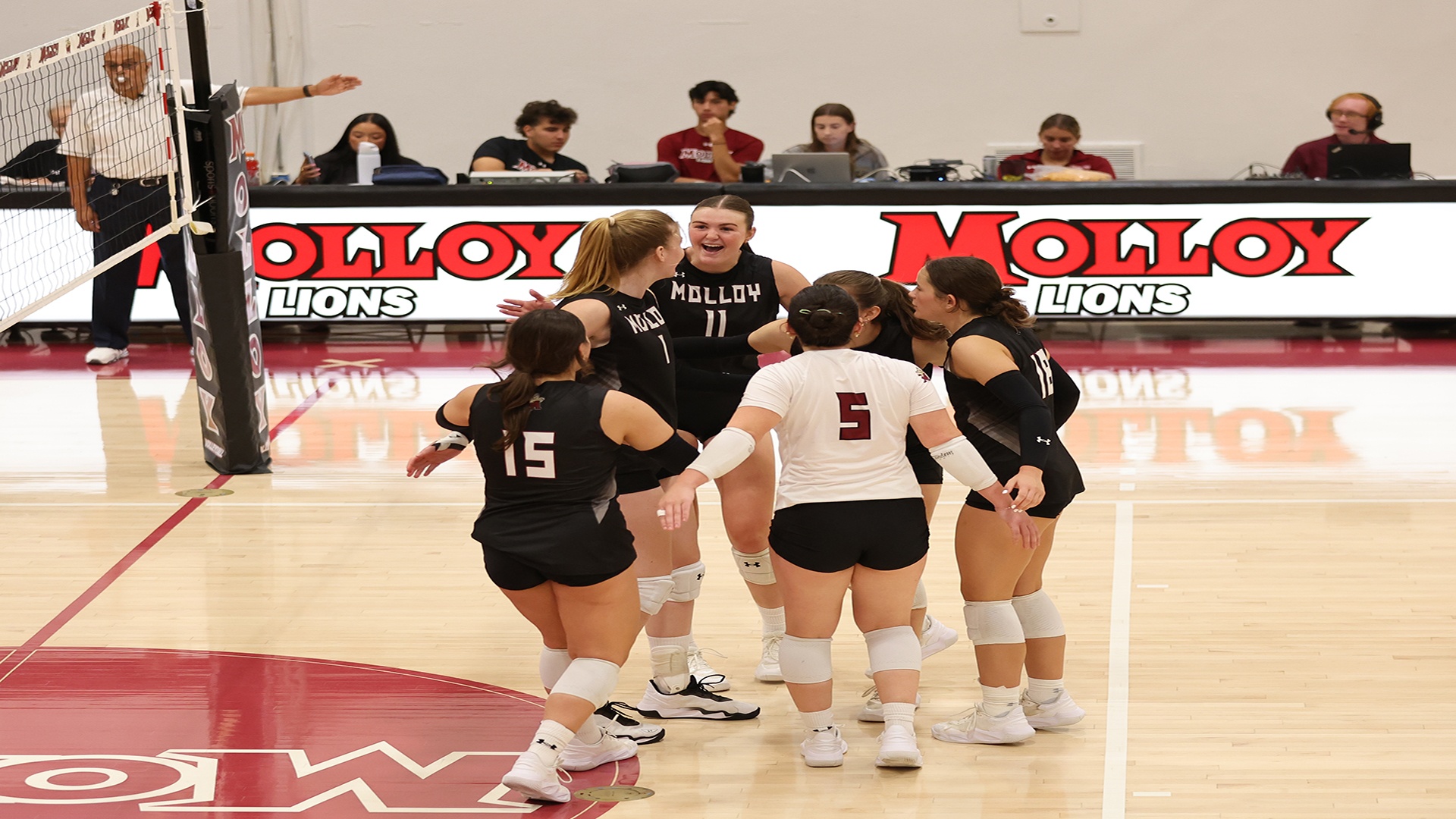 vb team
