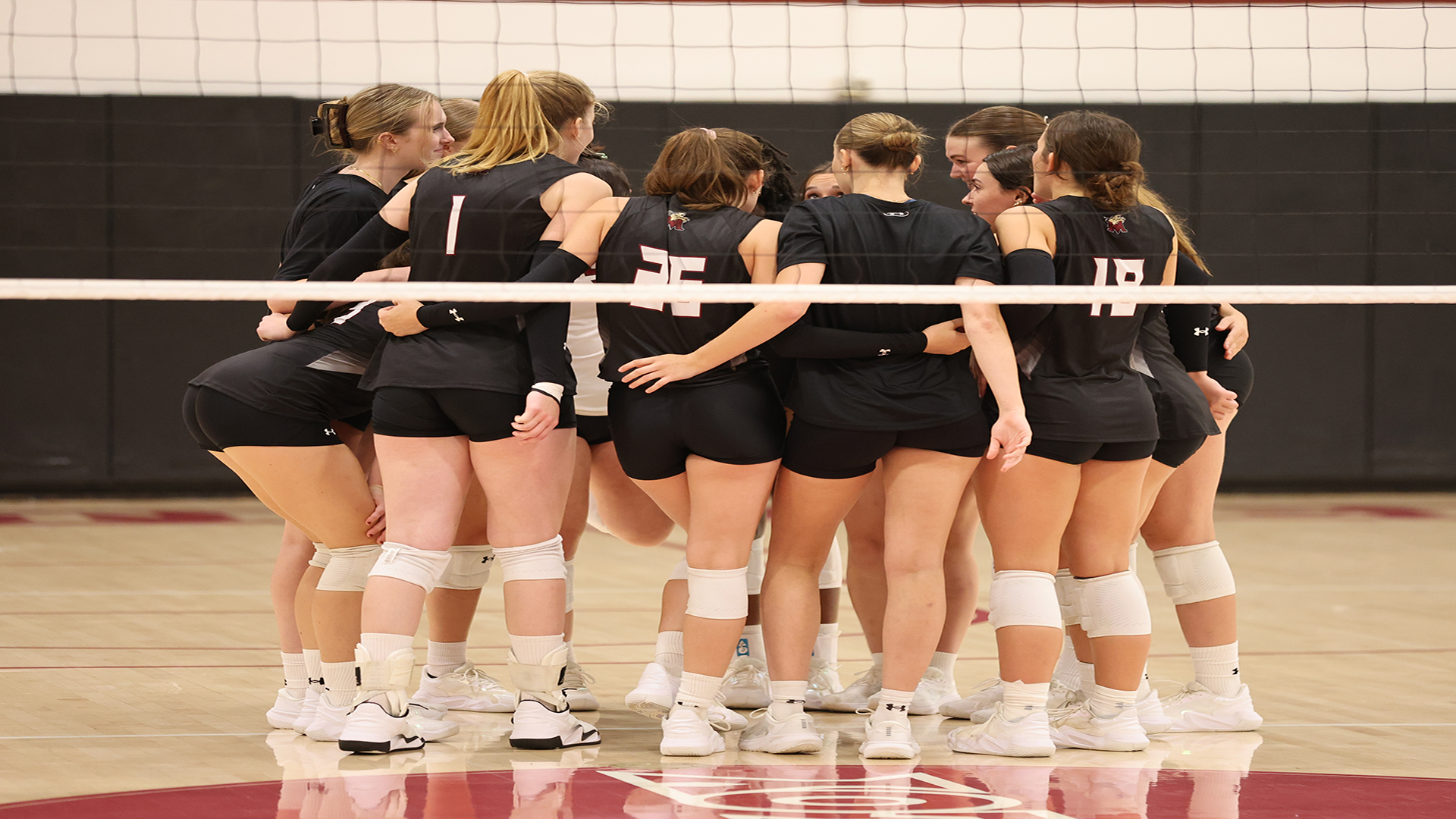 vb team