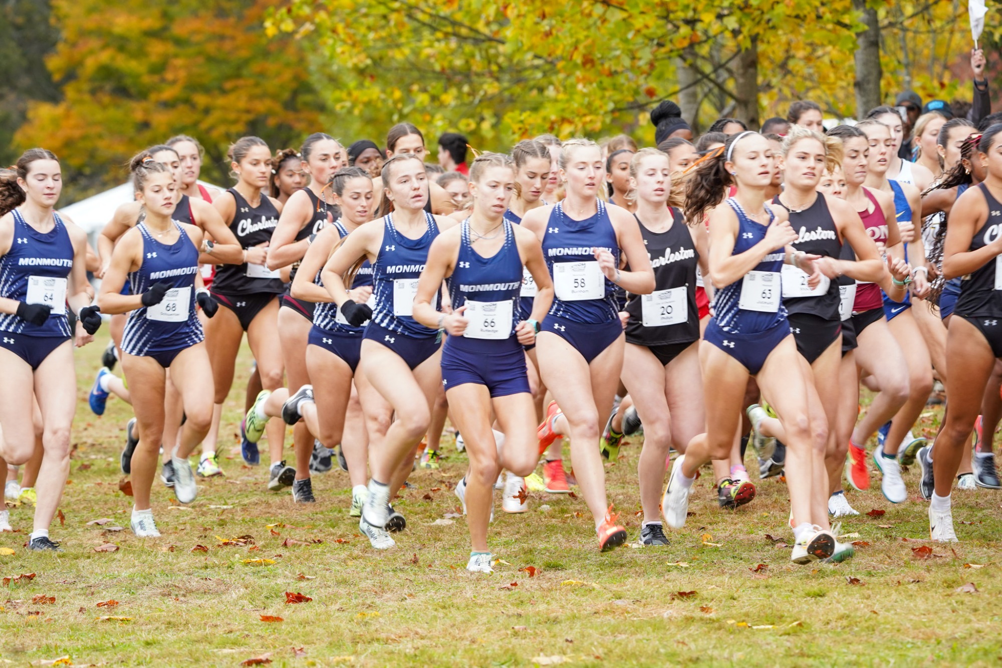 WXC
