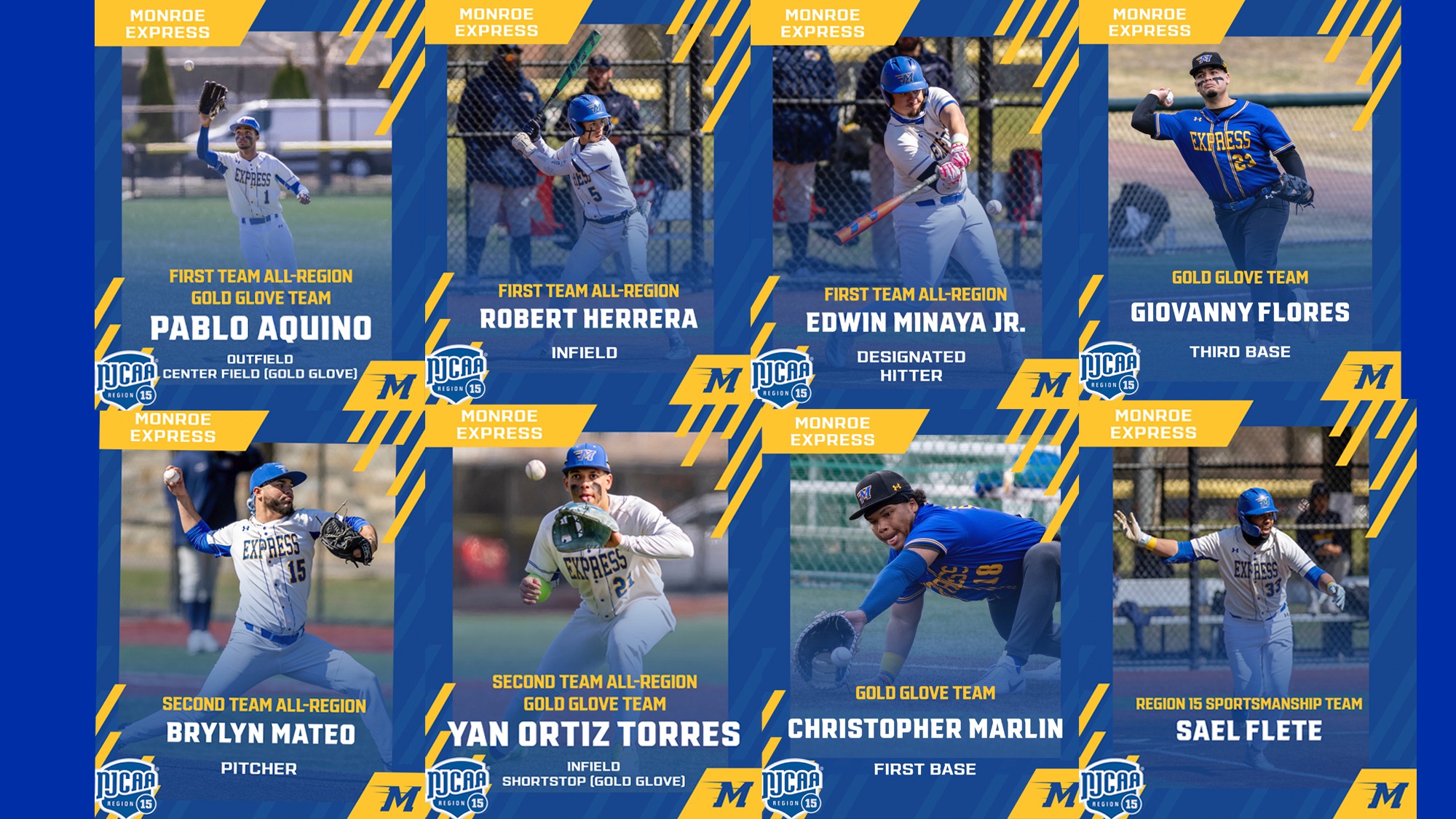 Baseball All-Region