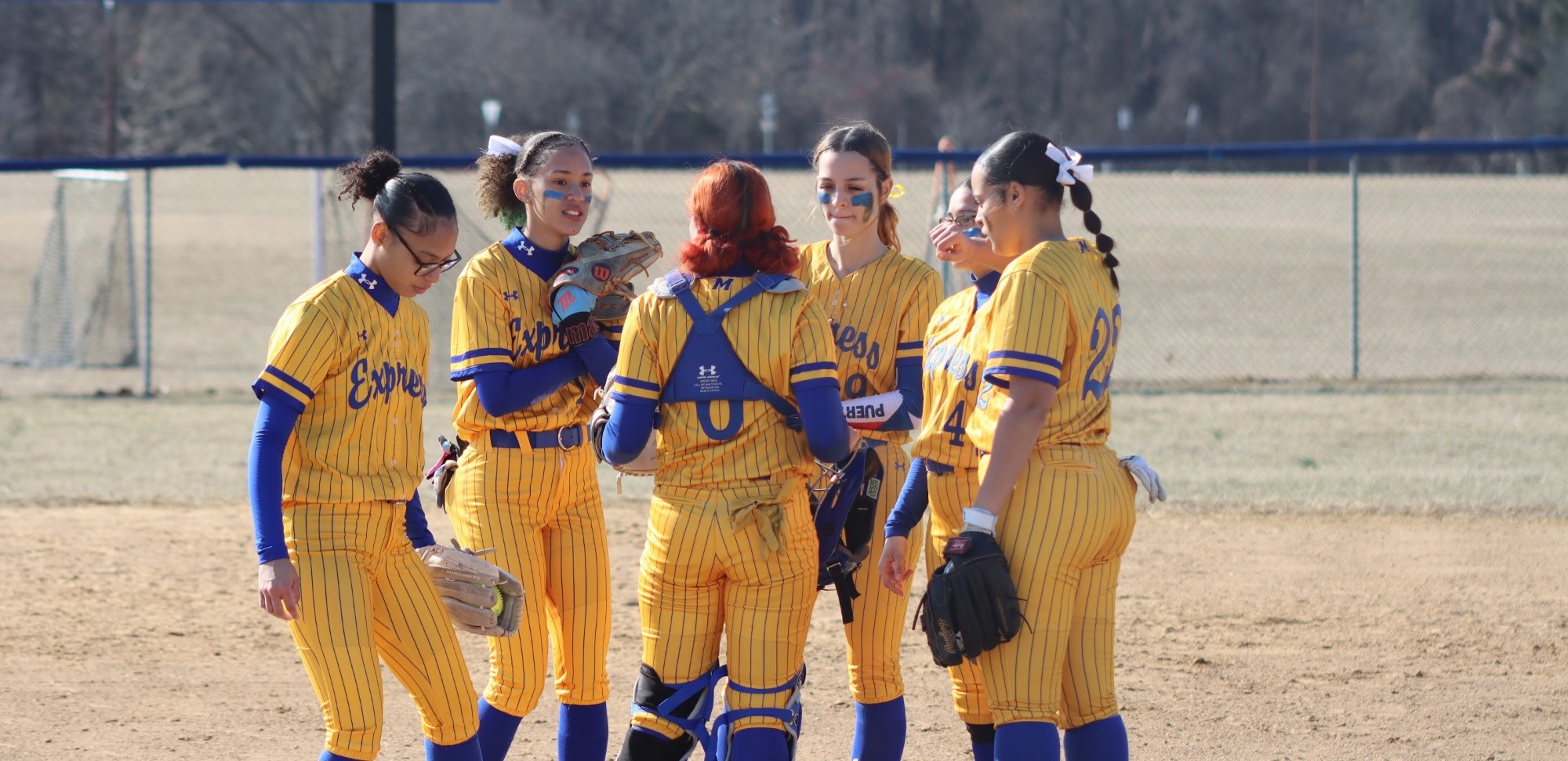 Softball Huddle