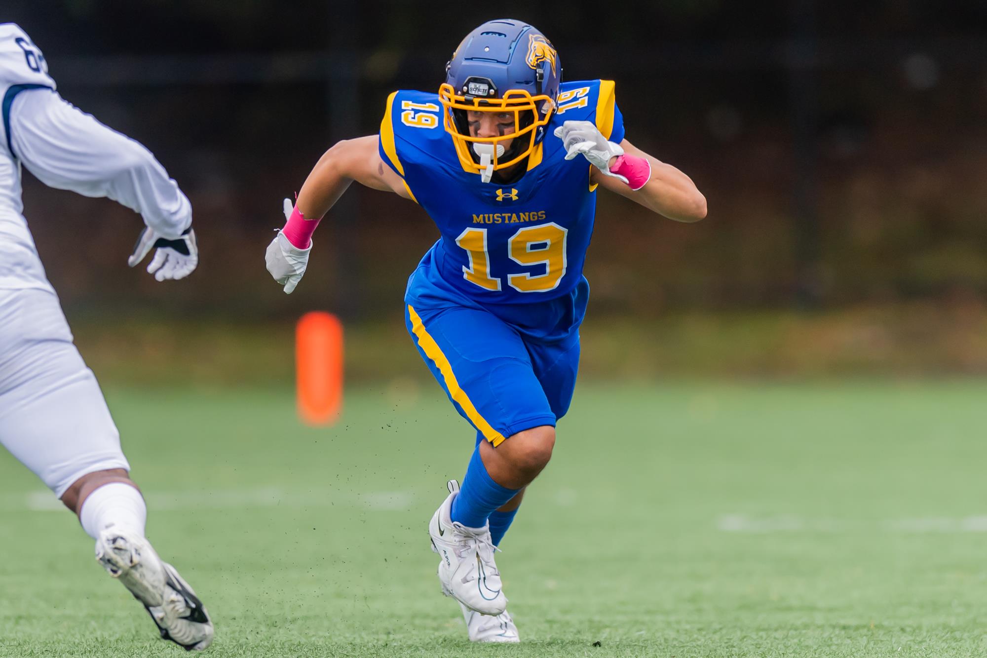 Trei Dansby Football Monroe College Athletics