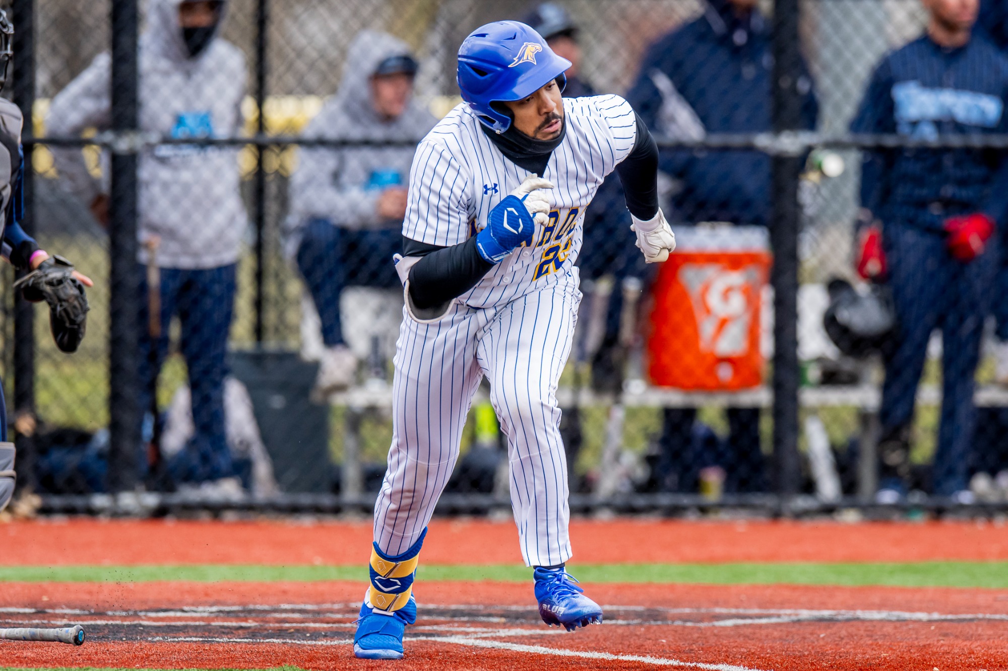 Jordy Batista Baseball Monroe College Athletics