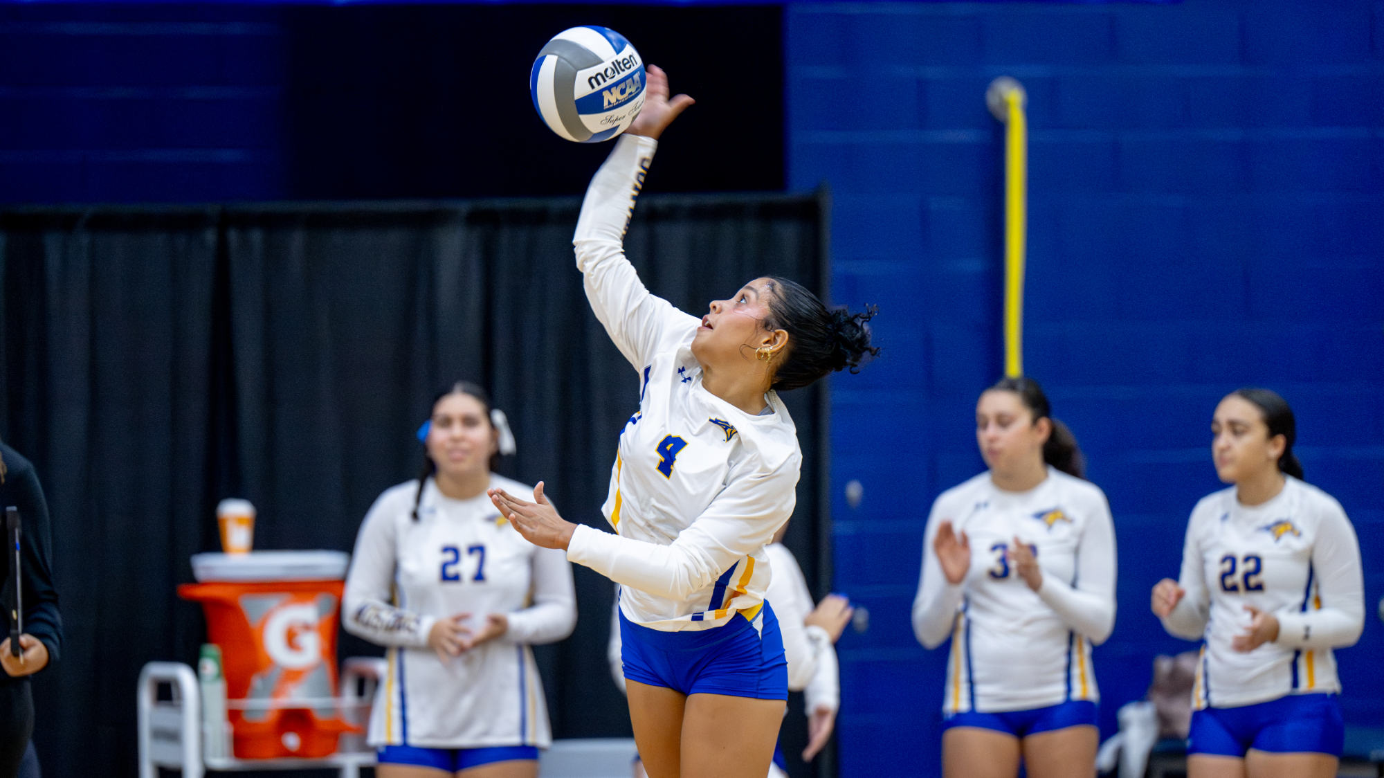 WVB