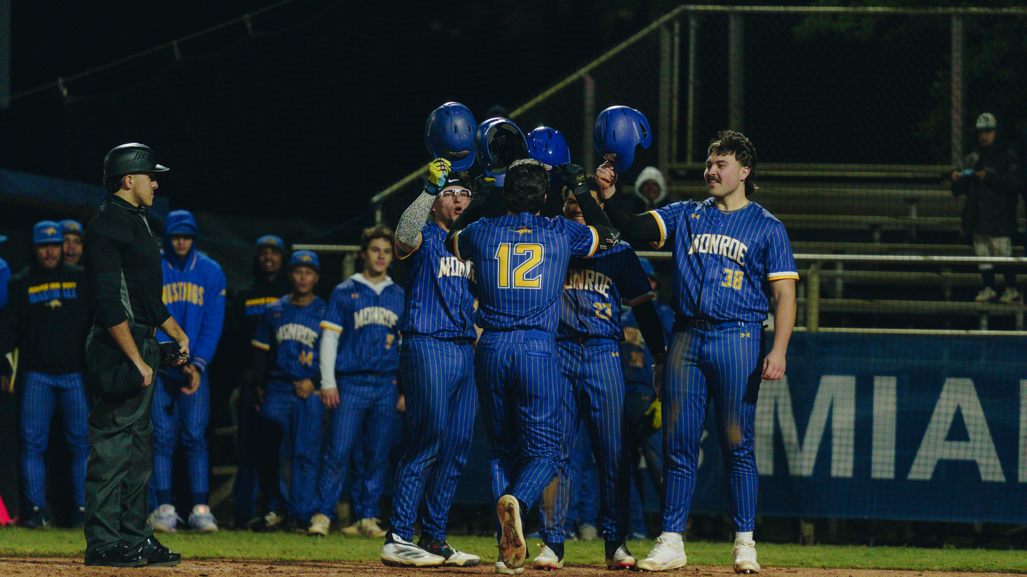 Baseball Celebration