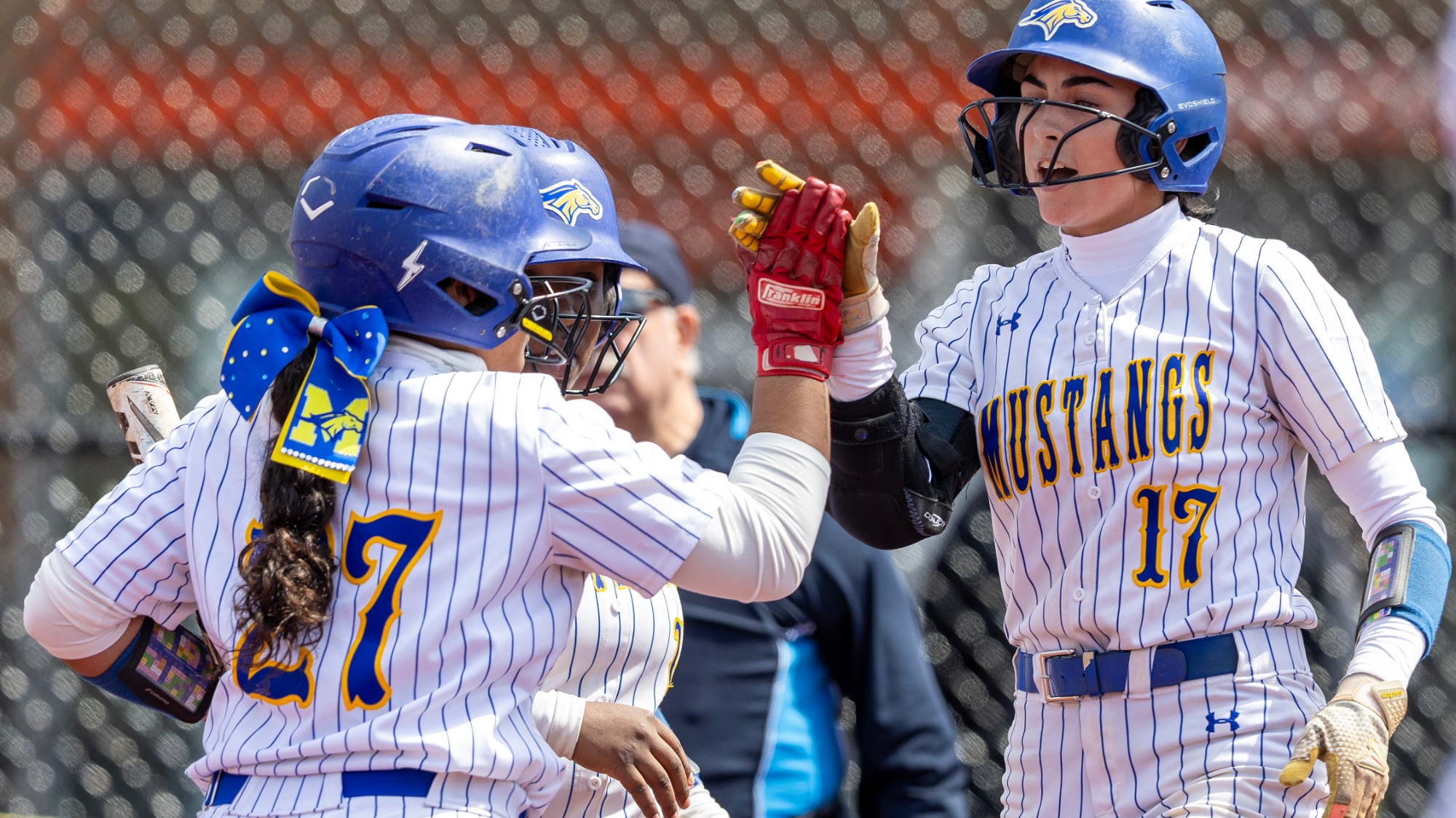 Softball Celebration