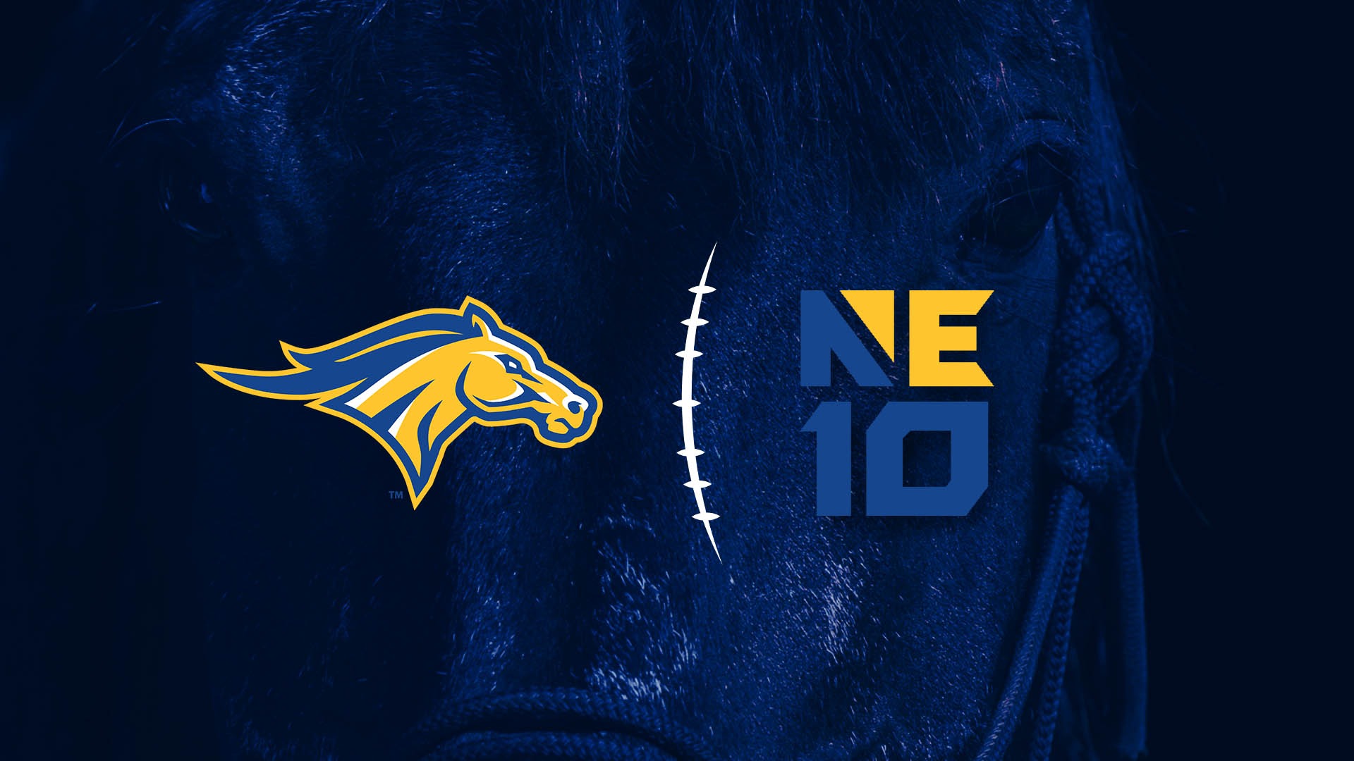 NE10 Announcment