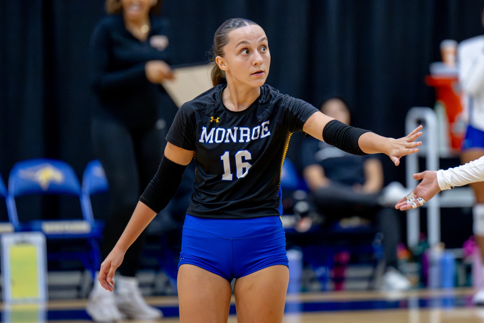 WVB