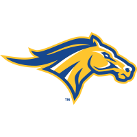 Monroe University logo