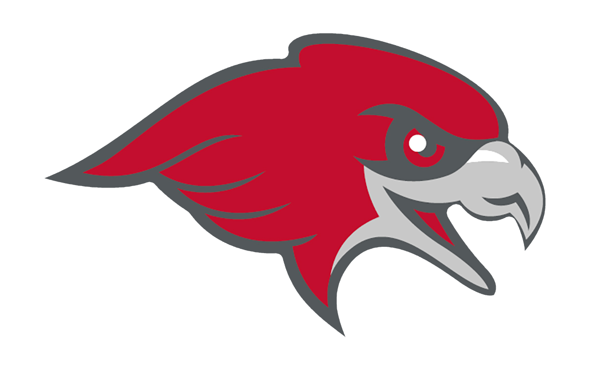 Hawk Head