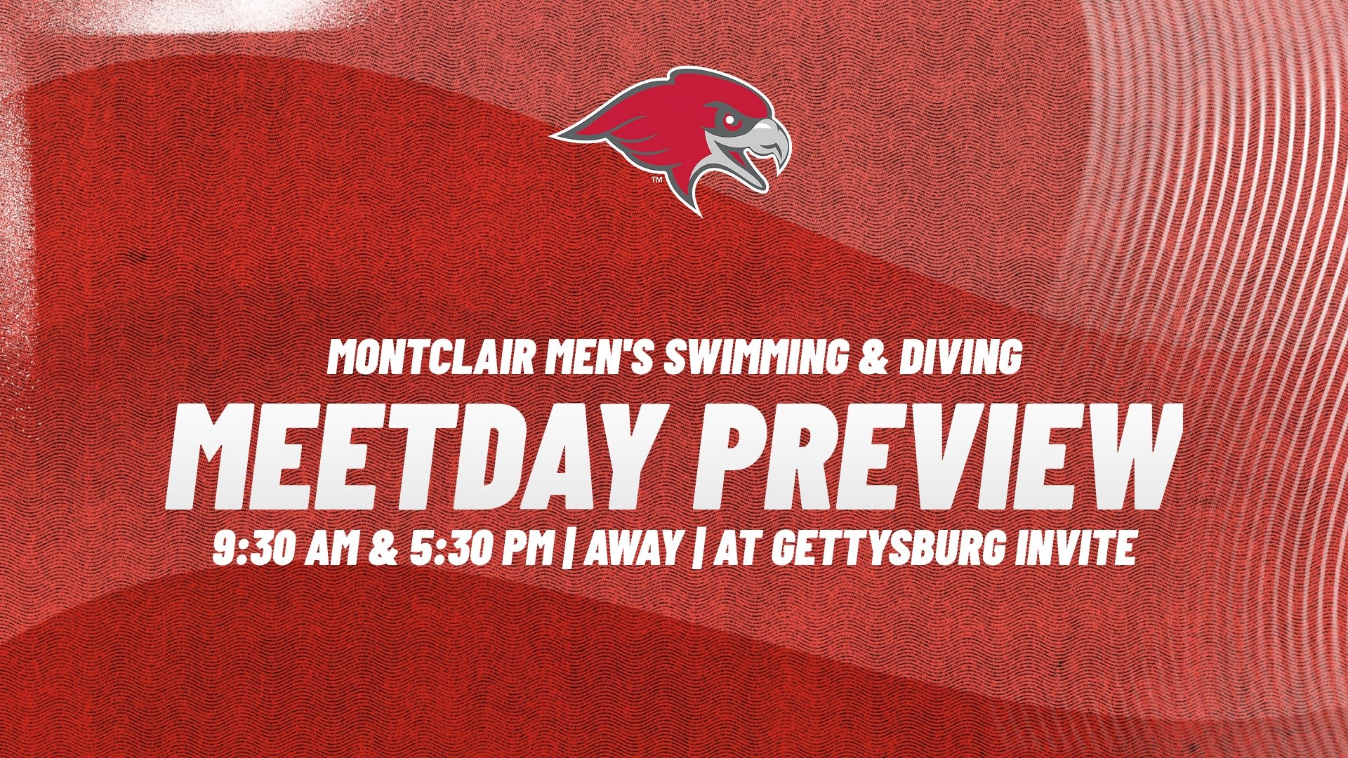MSWIM GETTYSBURG INVITE PREVIEW