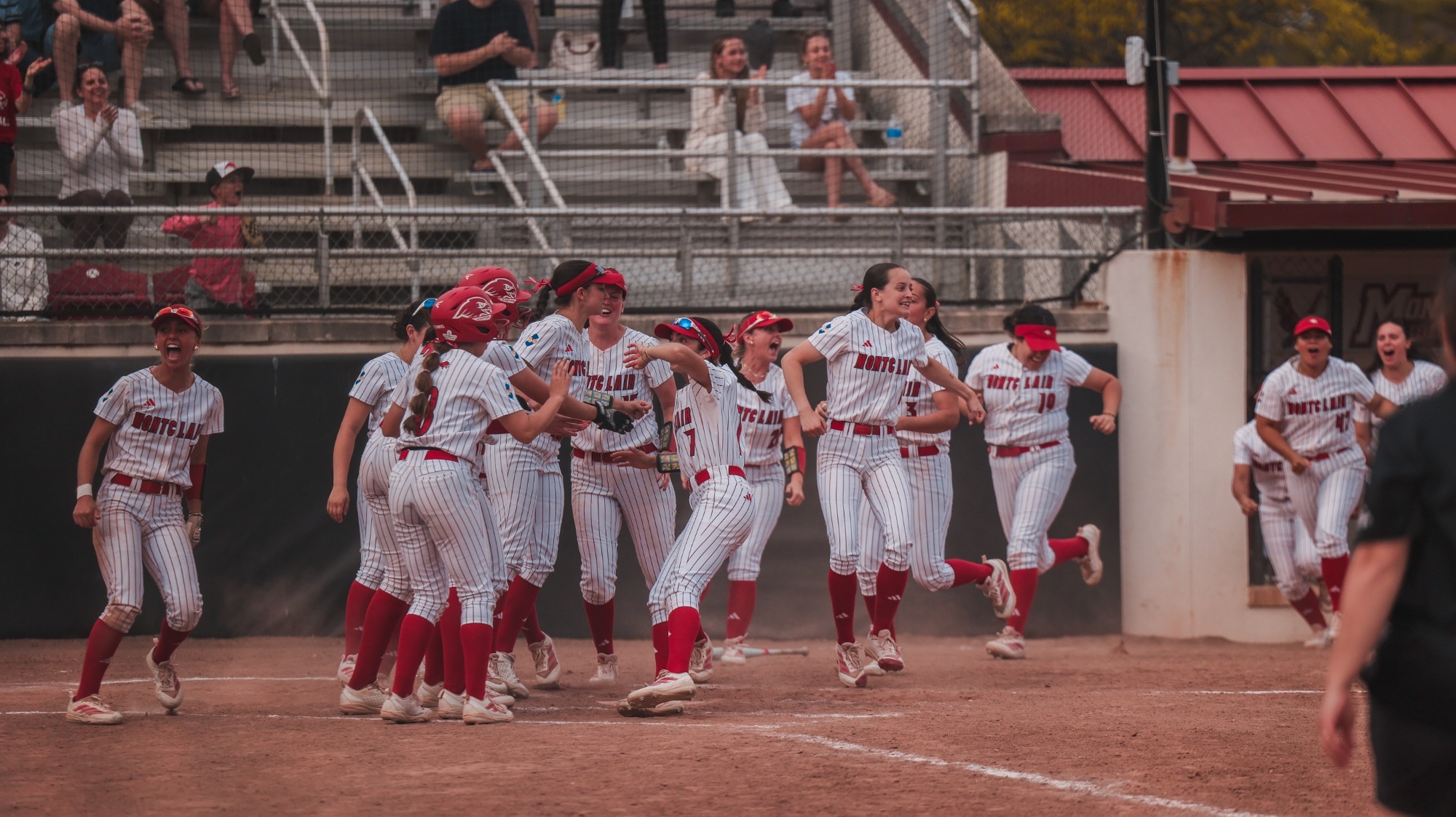 Softball Celebration