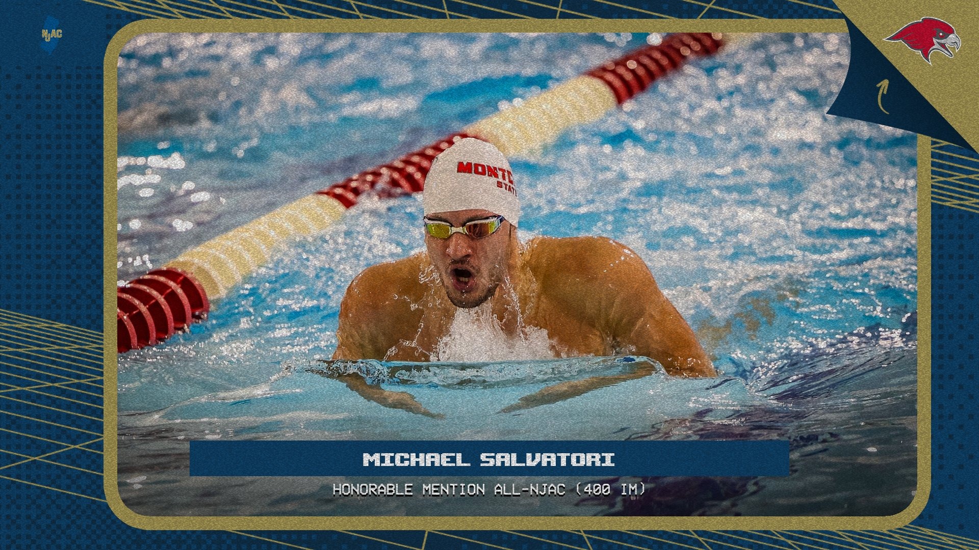 Michael Salvatori All NJAC