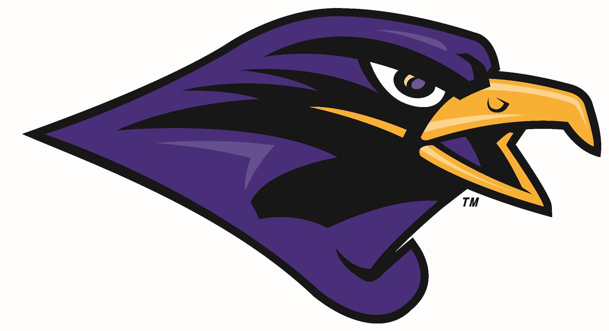 Color Falcon Head